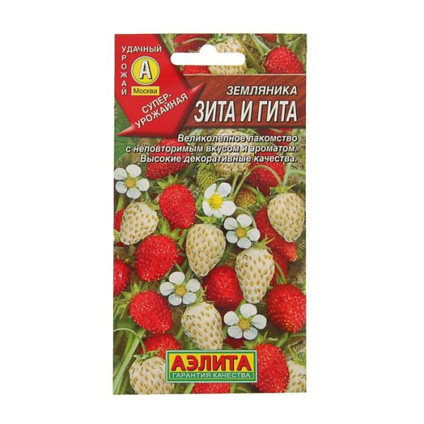 Земляника ЗИТА И ГИТА смесь, 0.04г, Аэл