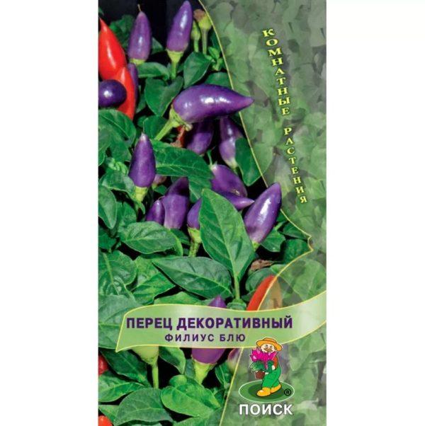 Перец декоративный ФИОЛИУС БЛЮ, комнатное, П+