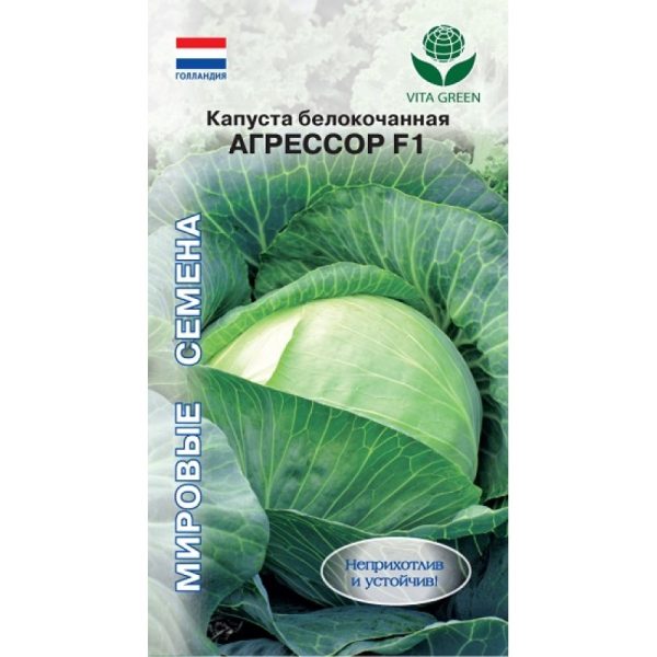 Капуста б/к АГРЕССОР F1, 10шт, Голландия, Вита Грин