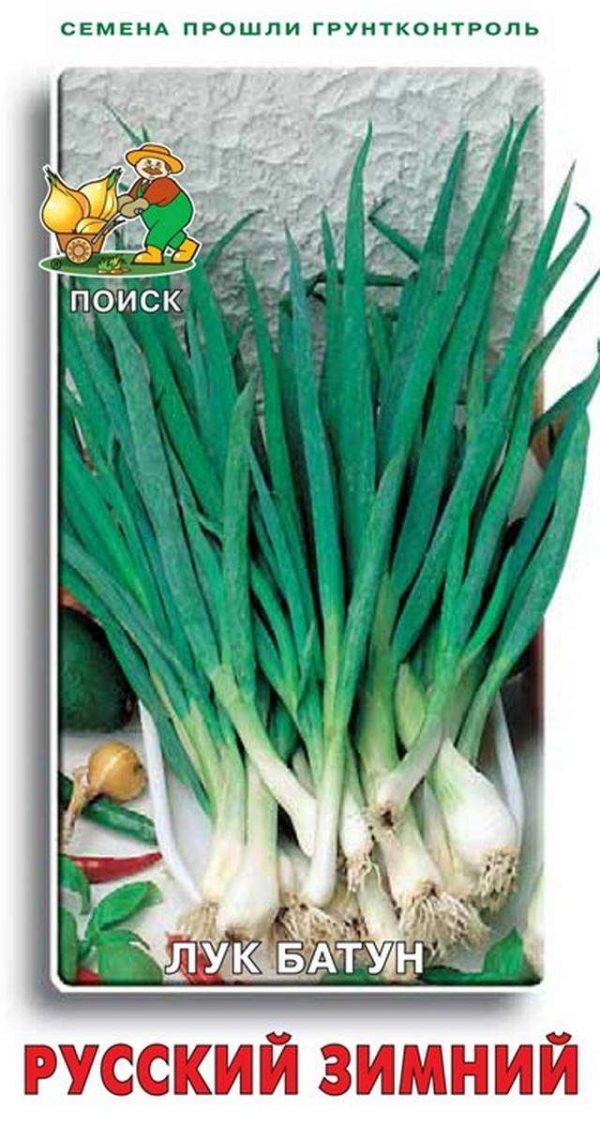 Лук батун РУССКИЙ ЗИМНИЙ, П+