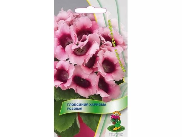 Глоксиния ХАРИЗМА РОЗОВАЯ комнатное, 5 шт, П+