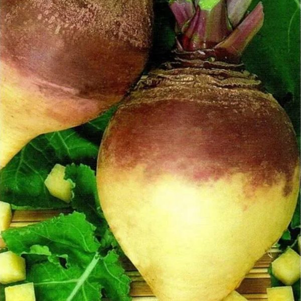 Брюква КРАСНОСЕЛЬСКАЯ, 1г