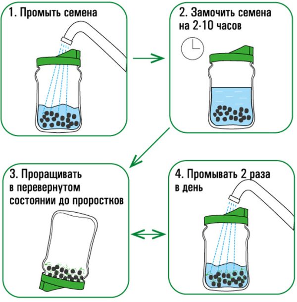 Проращиватель «Здоровья КЛАД» КРЫШКА-СИТО — изображение 6