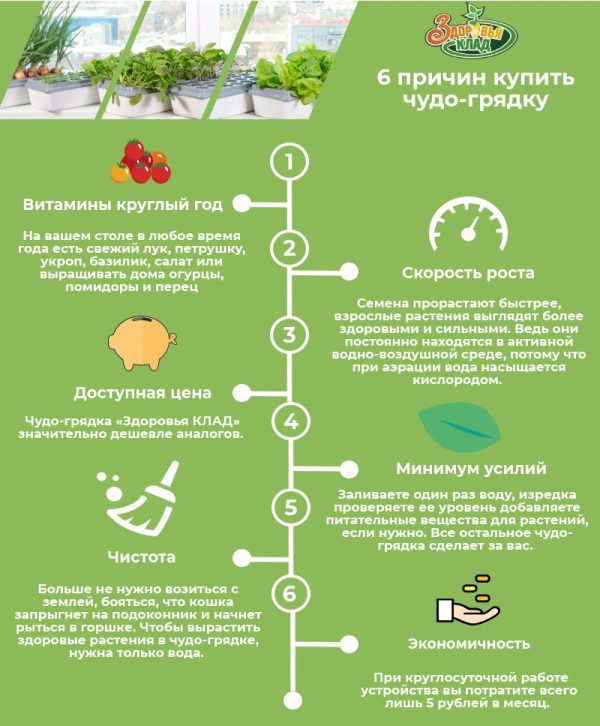 Домашняя Чудо-грядка «Здоровья КЛАД» — изображение 6