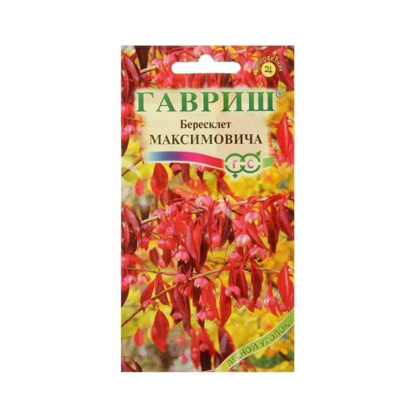 Бересклет МАКСИМОВИЧА, кустарник, 0.2гр, Гав