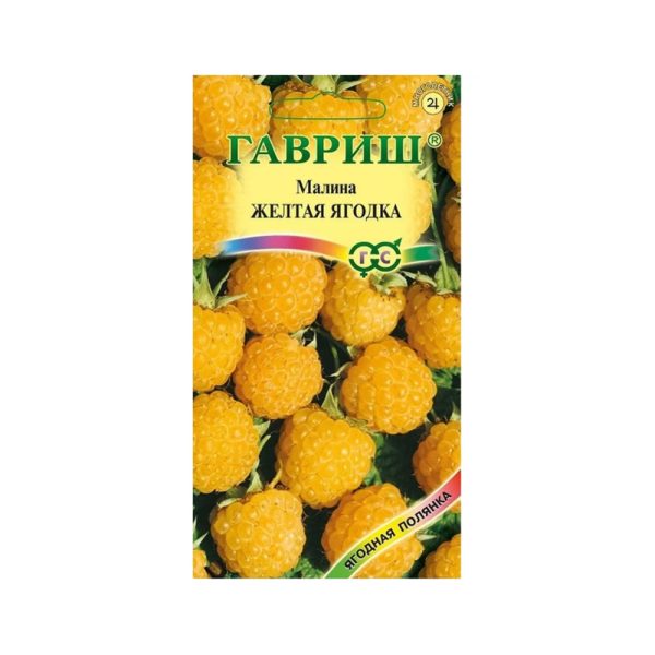 Малина ЖЕЛТАЯ ЯГОДКА, Гав