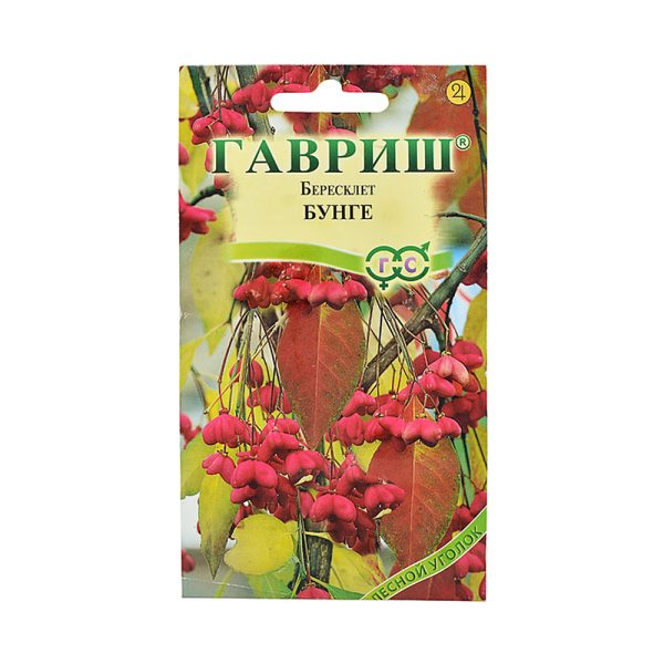 Бересклет БУНГЕ, кустарник, 0.2гр, Гав