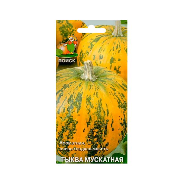 Тыква мускатная МУСКАТНАЯ, 10шт, П+