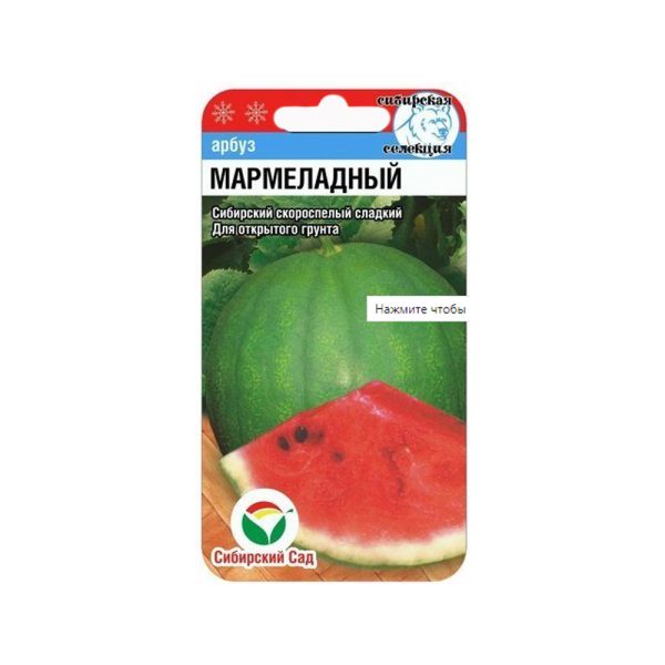 Арбуз МАРМЕЛАДНЫЙ, 7шт, Сиб