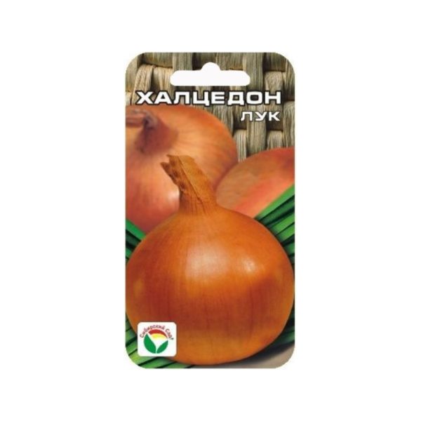 Лук репчатый ХАЛЦЕДОН, 1 гр, Сиб