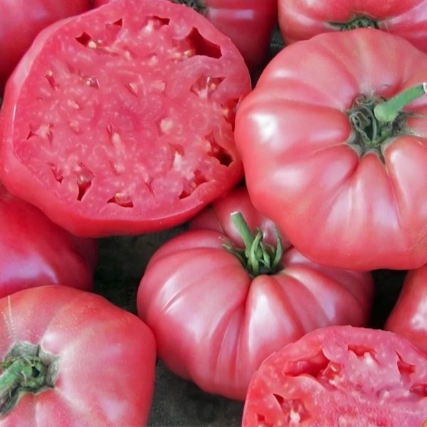 Томат БРЕНДИ РОЗОВЫЙ, 0.15гр