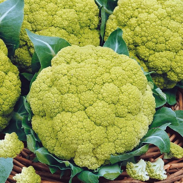 Капуста цветная ВИТАВЕРДЕ, калиброванные, Голландия, 10шт,