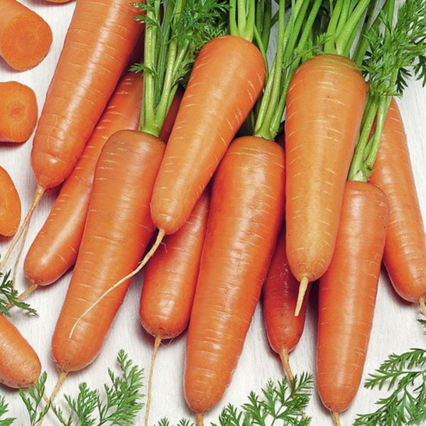 Морковь КАНАДА, калиброванные, Голландия, 0.5гр