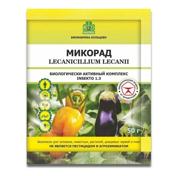 Биопрепарат МИКОРАД LECANICILLIUM LECANII, 50 гр, БФ Кольцово