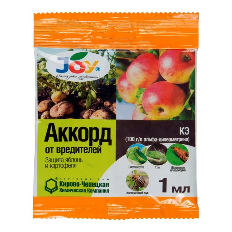 01 аккорд