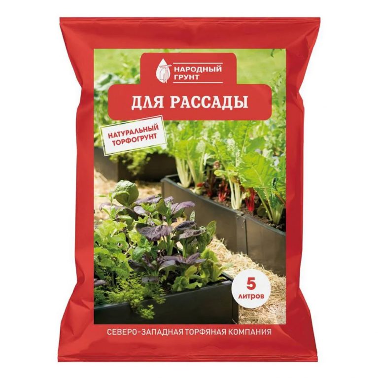 01 для рассады