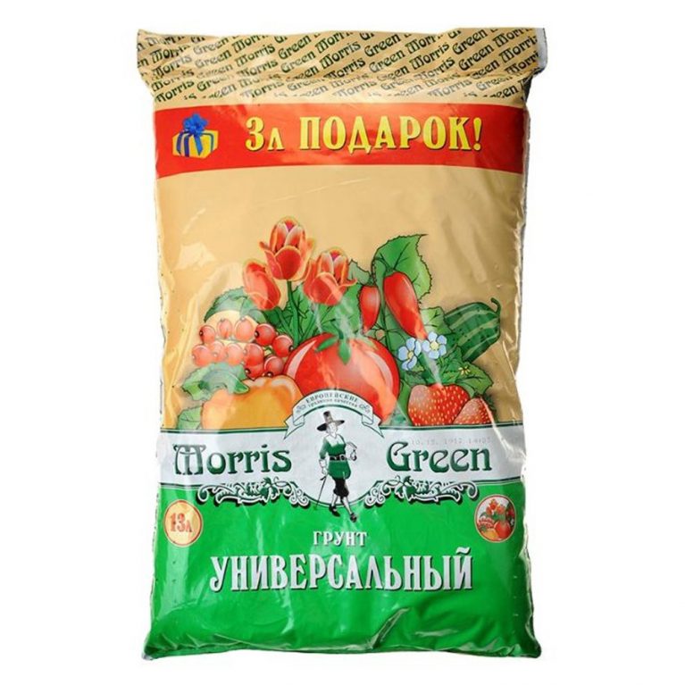 07 универ