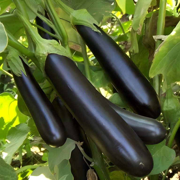 08