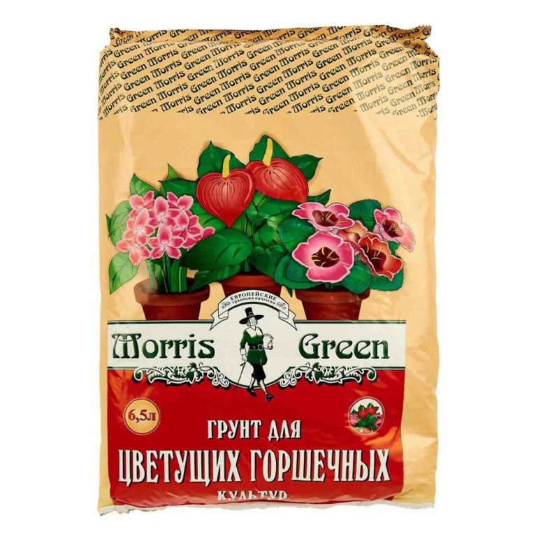 08 горшечные