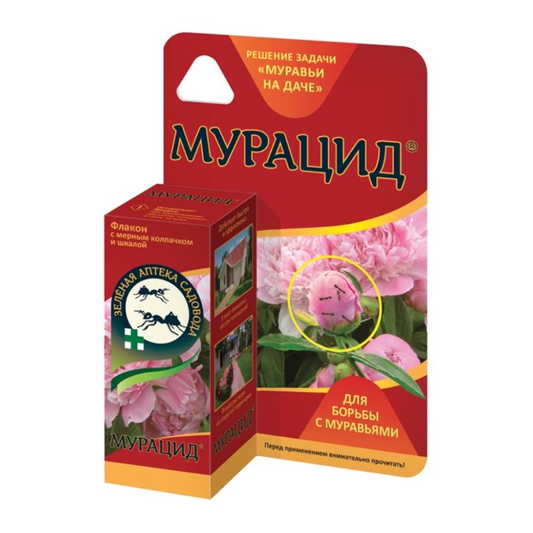 10 мл