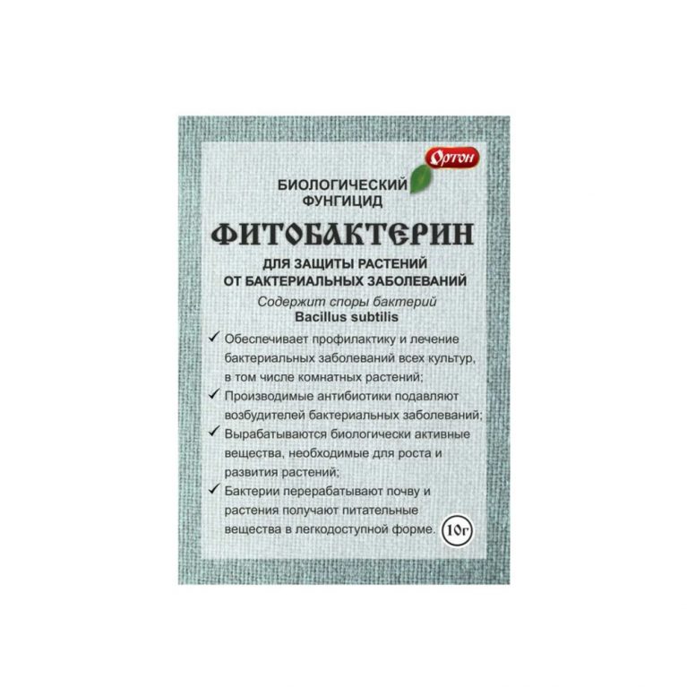 11 (уже есть) (2)