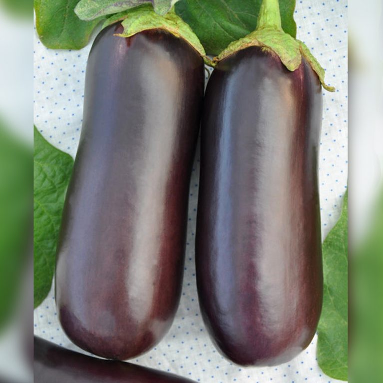 1165