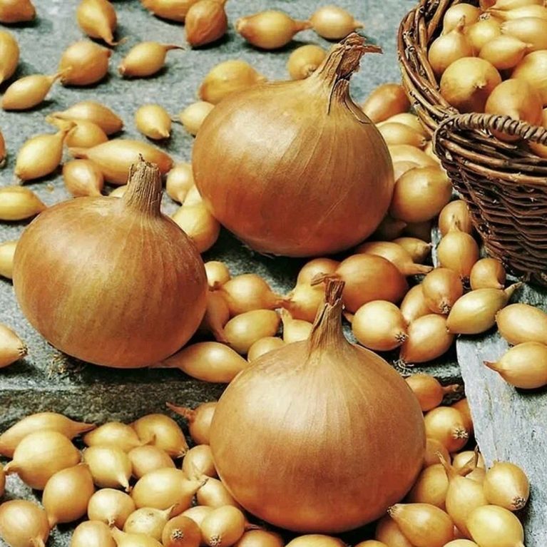 12 сторун