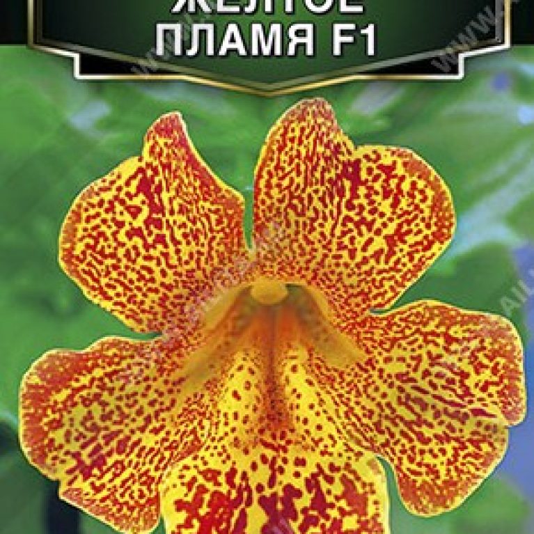 145