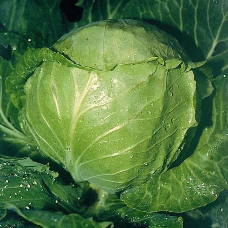 147 03