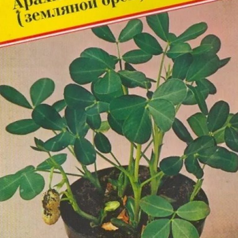 154