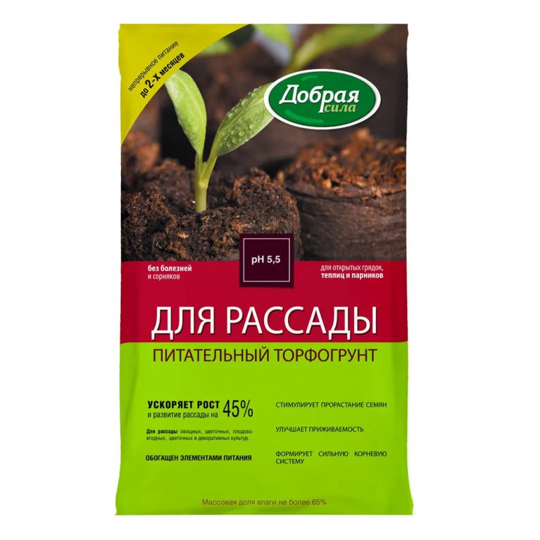 30 для рассады