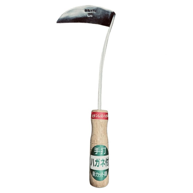3453