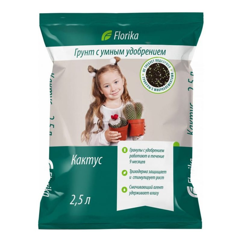39 кактус