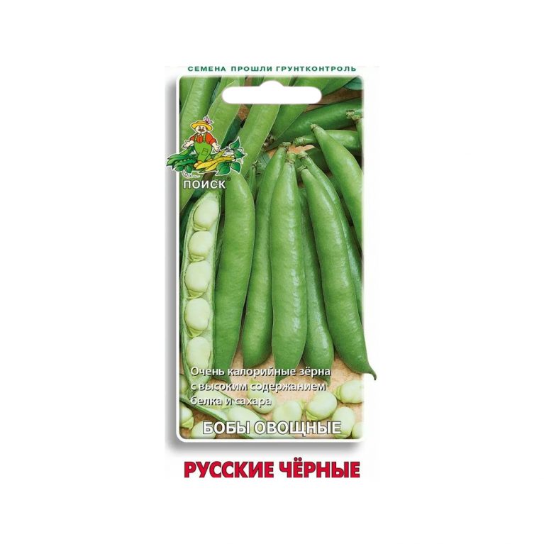 393