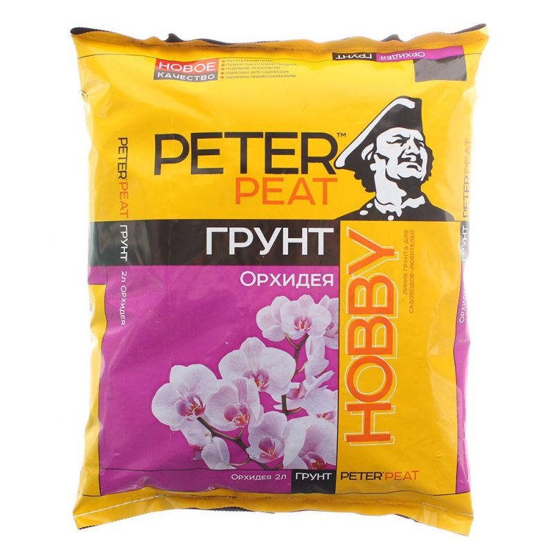 40 орхидея
