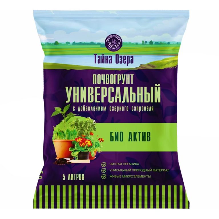 5 литров