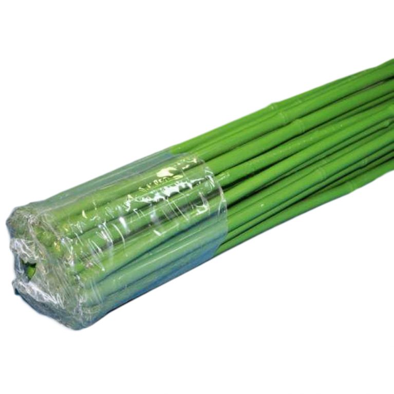 54646