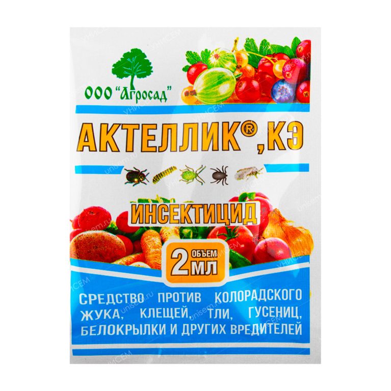 актеллик