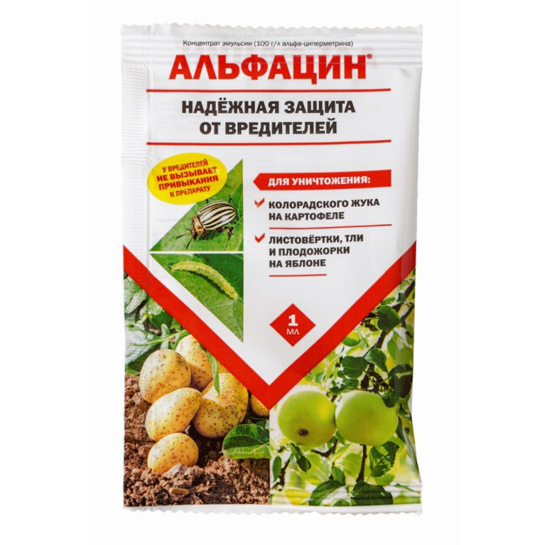 альфацин