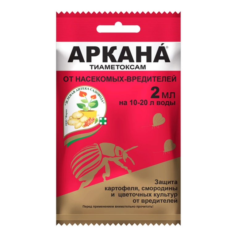аркана 2
