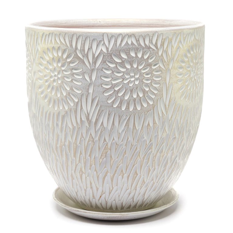 астра бутон 5