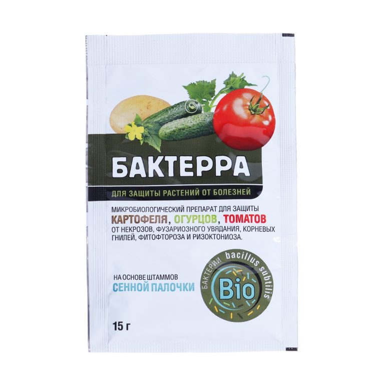 бактерра