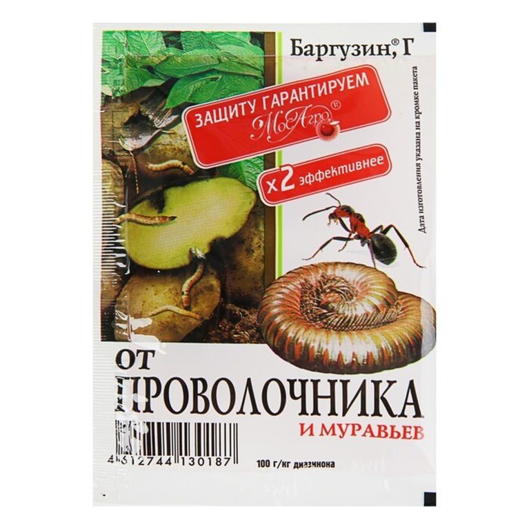 баргузин