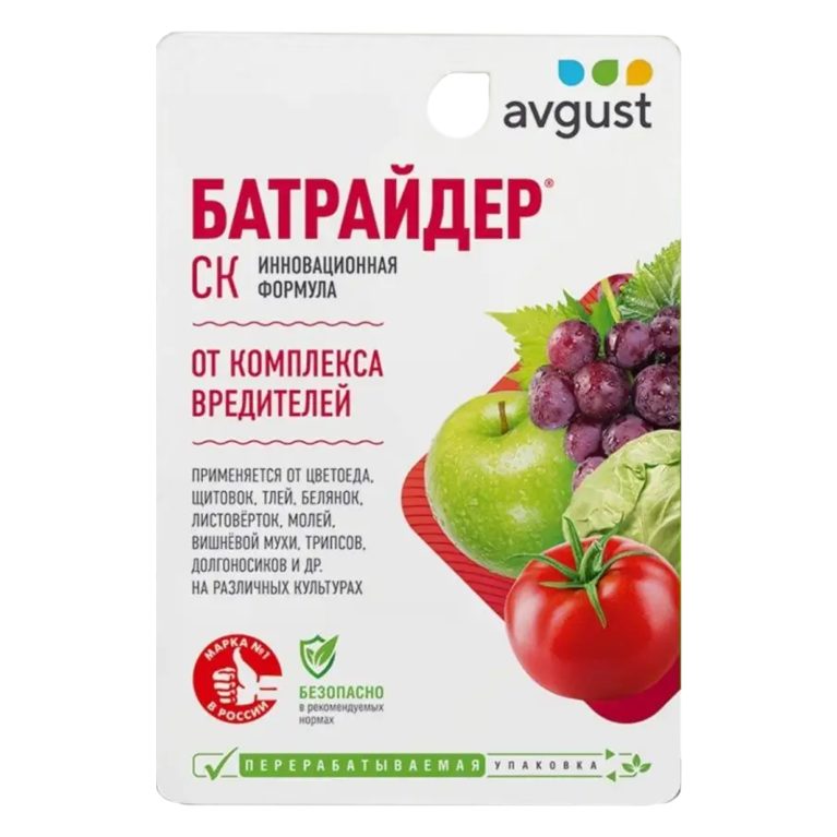 батрайдер