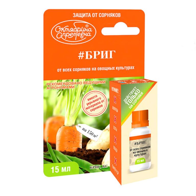 БРИГ октябрина