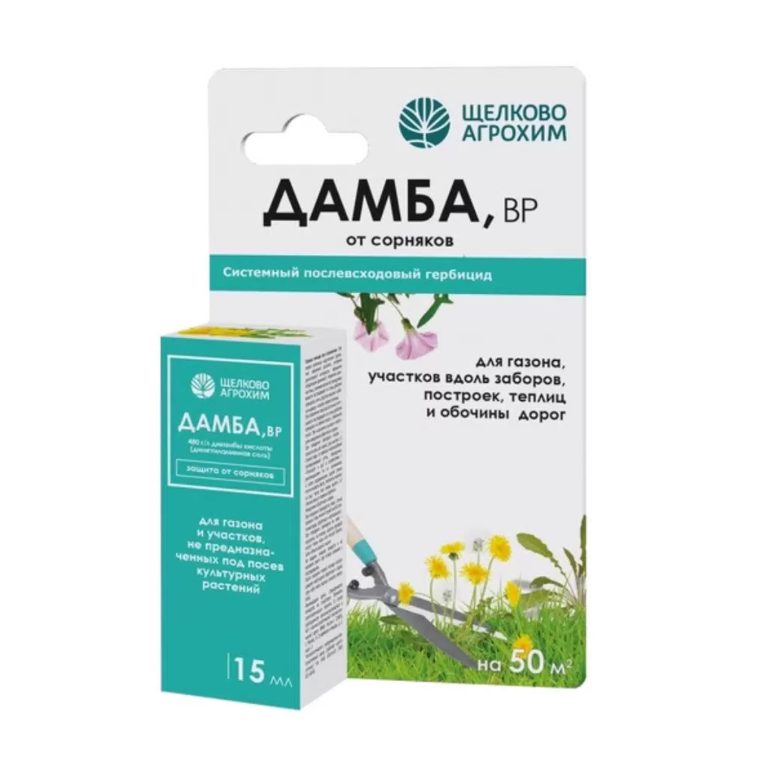 Дамба