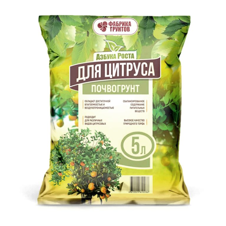 для цитруосв