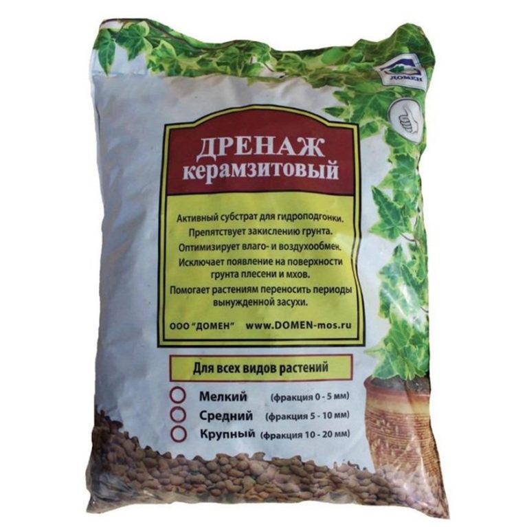 домен