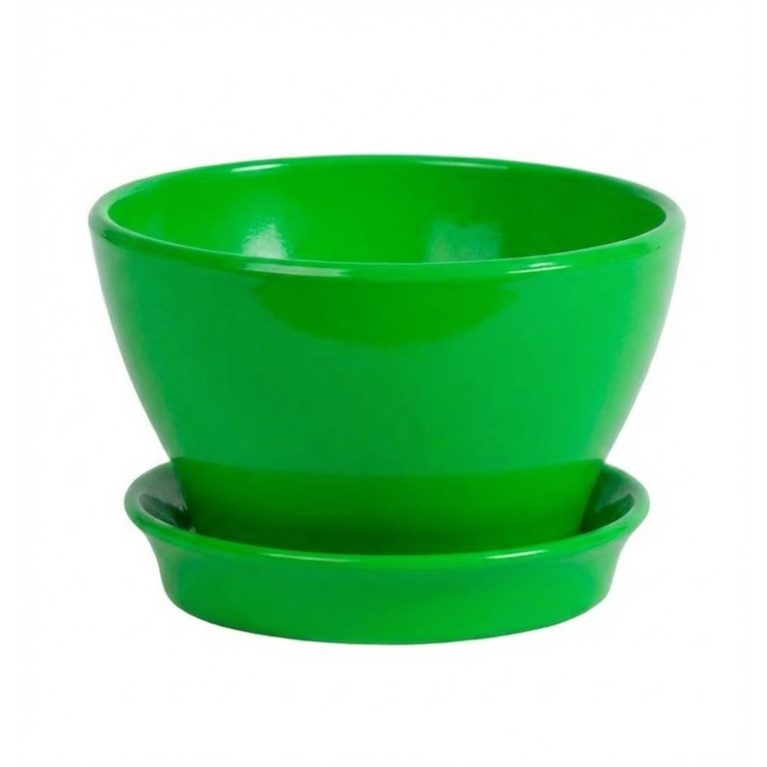 фиалочница яблоко