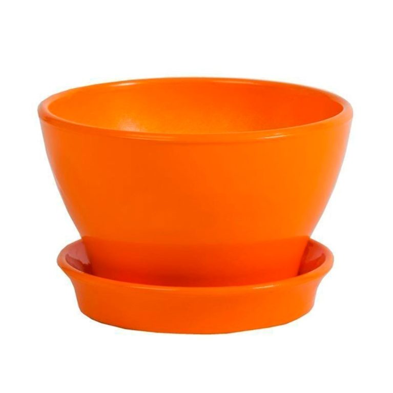 фиалочница